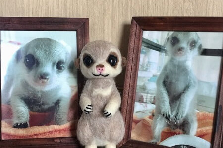 【羊毛フェルト】ミーアキャット・永希くんのお届け後のお写真をいただきました！