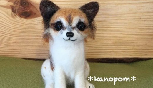 【オーダーメイド】羊毛フェルトのチワワ（パーティーカラー）完成♪